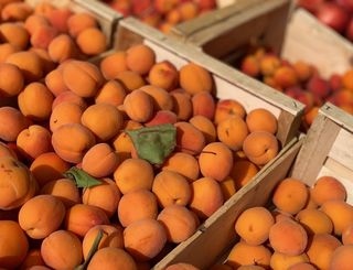 Marché Abricots